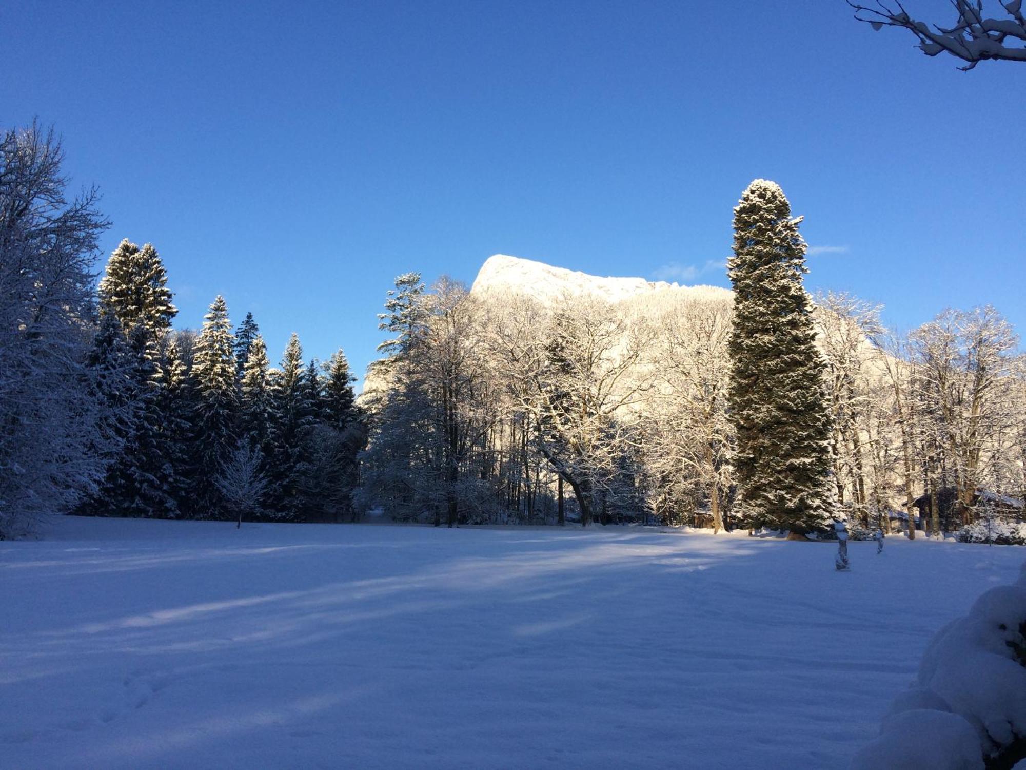 Appartamento Grubhof Sankt Martin bei Lofer Esterno foto